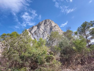Parlak yeşil yapraklar çerçeveli, berrak mavi gökyüzüne karşı yükselen bir dağın nefes kesici manzarası..