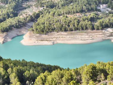 A stunningly peaceful view of a vibrant turquoise lake beautifully framed by lush, dense green forests surrounding it