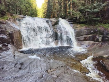 A stunning and captivating waterfall majestically cascades over rocky formations within a vibrant green forest