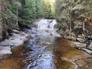A tranquil waterfall cascades into a clear stream, surrounded by vibrant greenery and natural beauty