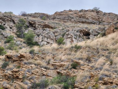A truly captivating view showcases rocky hills interspersed gracefully with grass and various shrubs under a cloudy sky