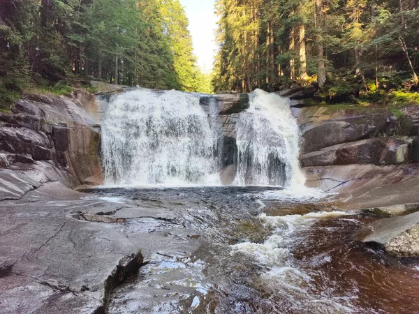 A stunningly beautiful waterfall cascades gracefully over rugged rocks, surrounded by lush greenery and tall trees