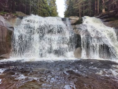 A stunning waterfall surrounded by lush greenery, capturing the essence of natures unparalleled beauty