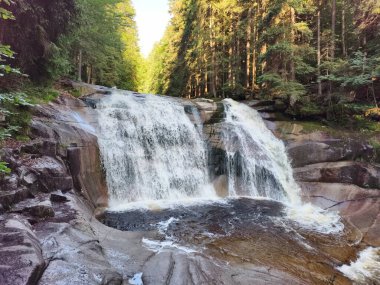 A serene and tranquil waterfall gently cascades over smooth rocks nestled within a lush, vibrant green forest setting