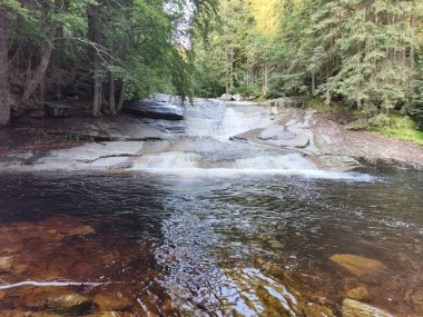 A tranquil river gently cascading over smooth stones, gracefully surrounded by lush and vibrant forest greenery
