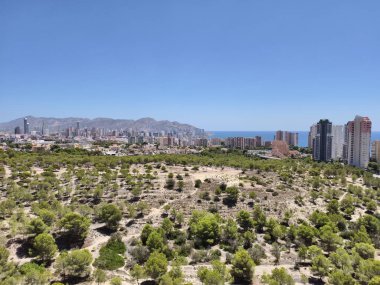 Manzaralı sahil inzivası, güzel sahil tatil yeri, dinlendirici konaklama okyanus manzaralı ve çam ağacıyla