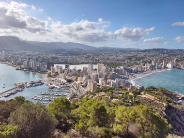 Yoğun şehir blokları ve yemyeşil ile çevrili çarpıcı yüksek liman manzarası