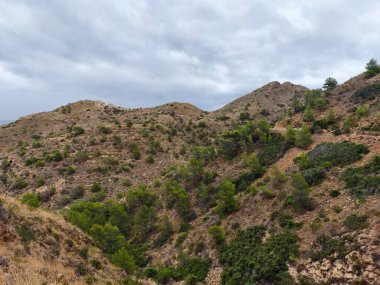 Canlı doğal manzara, kırsal yemyeşil kanyon manzarası, çeşitli bitki örtüsü ve katmanlarıyla dingin vadi.