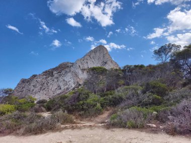 farklı uzunlukta cümleler oluştur, her biri farklı sözcük sayısına sahip beş metin oluştur