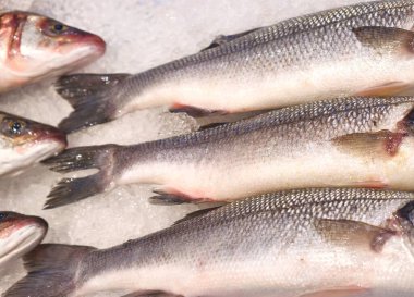 Satılık deniz ürünlerinin rengarenk çeşitleri, cazip bir şekilde düzenlenmiş karışık deniz ürünleri seçimi.