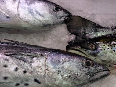 sağlanan metin tamamen boş veya eksik, alternatif sürümler oluşturmak için gerçek bir metin yok