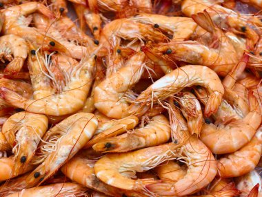 Lezzetli kabuklu deniz ürünleri ve soslu rahat deniz kenarı etkinliği, taze deniz ürünleri ve renkli deniz ürünleri içeren gündelik kıyı partisi.