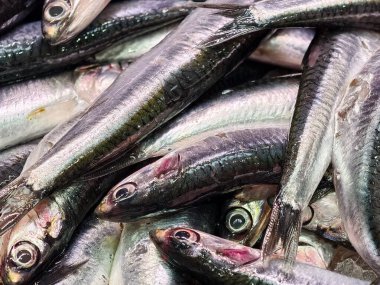Pazar ortamında sergilenen taze balıklar, canlı deniz balıklarının parlak pulları ve taze pullarıyla ön plana çıkarılan market vitrinleri.