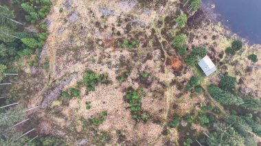 Bataklık arazili ekolojik araştırma alanı, kıyı boyunca konumlanmış koruma araştırma istasyonu