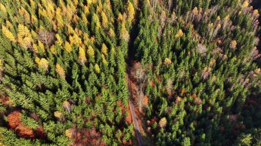 Drone canlı bir manzara yakalar, hava perspektifi verimli mevsimlik yeşilliklerle çevrili dar toprak izleri gösterir.
