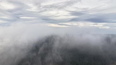 Şafak sisi açılır, erken gün sisi yükselir uzak görüşleri gösterir, gün doğumu sisi nazikçe kaybolur ve manzarayı gözler önüne serer.
