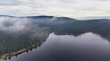 Huzurlu sabah manzarası, sisli göl manzarası yansıtıcı dinginlik, huzur dolu şafak manzarası yanılgılarla kaplı çam ağacı manzarası.