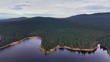 Huzurlu orman gölü, bereketli çam tepe örtüsü ve geniş orman manzarasıyla çevrili sakin su havzası.