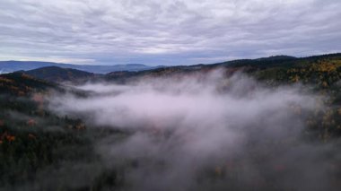 Sis hafifçe çöker, sinematik çekim sisi yakalar renkli ağaçlar ve dalgalı tepeler arasında