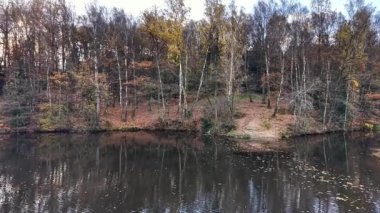 Çorak mevsimlik bitki örtüsünün yer aldığı sakin nehir manzarası, sonbaharda terk edilmiş ağaçların yanında sakin su yansıması