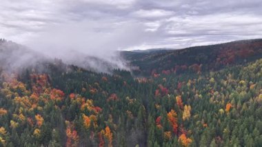 Sonbahar tepe manzaralı bulutlar, serin bulutlu gökyüzünü gösteren hava perspektifi ve gür sonbahar ormanları üzerinde dönen sis