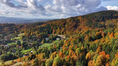 Parlak sonbahar ormanları, engebeli tepeler, sonbahar boyunca dramatik yeşillik ve tepeler.