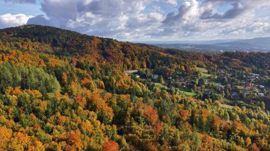 Sonbahar yamacı mahallesi, mevsimlik ağaçlar ve renkli evler, sonbahar yamaçlarının havadan manzarası.
