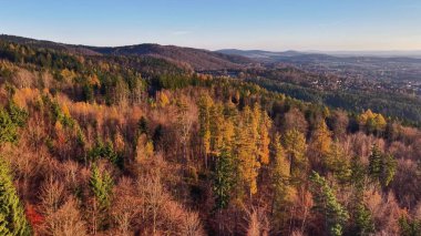 Parlak gökyüzü altında sonbahar ağaçlarının tepeleri, renkli ağaçlarla dolu sonbahar manzarasının muhteşem havası.