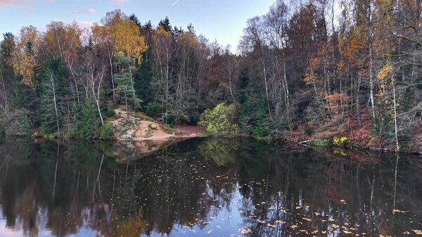 serene autumn woodland scenery appears, evening tranquil scene with still water and birch trees