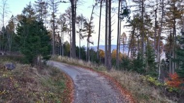 Günbatımında çakıl sesleri olan yumuşak bir tepe. Çam ve dağlarla çevrili sakin bir kırsal yol.