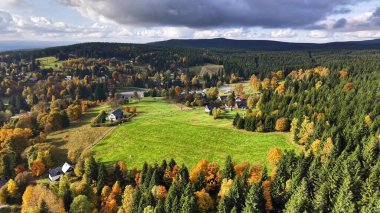 yemyeşil yemyeşil, uzak ormanlık ve bulutlu gökyüzü ile sakin tarım arazisi