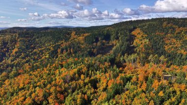 Sonbahar manzarası, pitoresk dağ geçidi, bulutlu altında çok renkli yapraklarla çevrili.