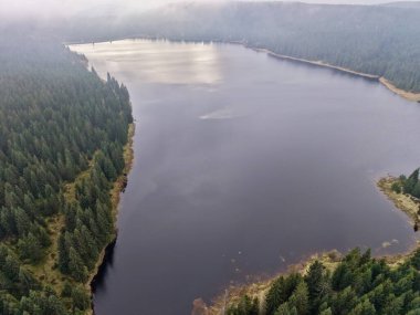 Sakin yansıtıcı yüzeyi olan hava deposu manzarası, geniş su genişliği, orman kıyıları, ince bulut