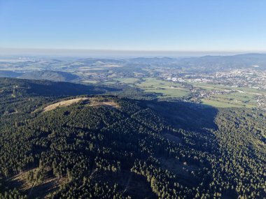 Şafak Sisi Pelerinleri Kurumuş Peyzaj Bilim Adamı Sabahın erken saatlerinde Sisli Ormanın Sağlığını İnceledi