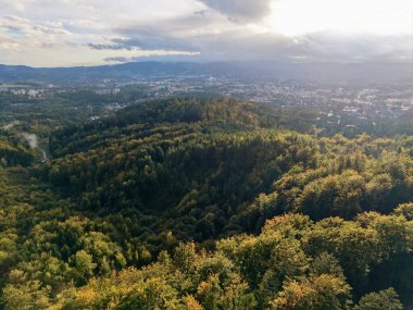 Altın Saat Ormanı, yumuşak parıltılı ve uzun gölgeli kasabaya yakın. Gün batımı için mükemmel huzurlu bir gözcü.