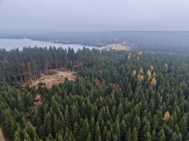 Hava Görünümü Puslu Orman Gölü ve Görünür Adanın Ötesinde Suyun Üzerinde Uçan Alçak Bulutlar, Karışık Kozalaklı Kozalaklar