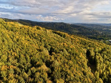 Altın Sonbahar Tepesi Yoğun Tepesi ve Sıcak Güneş Işığı Yürüyüşü Yolu Canlı Yeşillikler, Mevsimsel Kesintiler