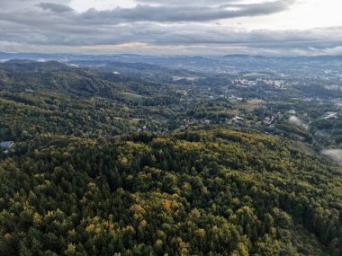 Yoğun tepe örtüsü, Bulutlu Gökyüzü ve Çeşitli Topografi Yollarıyla Hava Ormanı Genişliyor