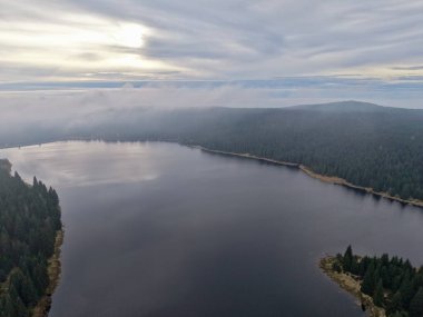 Tranquil Dawn 'daki Hava Ormanı Gölü, Cam Suyun Üzerinde Parlayan Sis, Çam Sıralı Kıyı Eğrisi