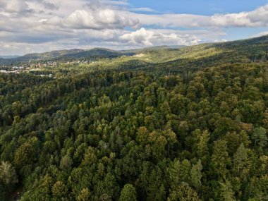 Kentsel Görünüm Genişletici Orman Şehir Yakınları, Yoğun Tepe Örtüsü Yeşil Kuşak Oluşturma Kentsel Sınır, Uzak Ufuk Çizgisi