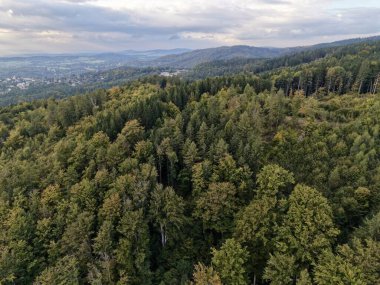 Sırttan Hava Perspektifi Yayılmış Konutları ve gür yamaçları olan Yayılan Vadi 'yi gözler önüne seriyor
