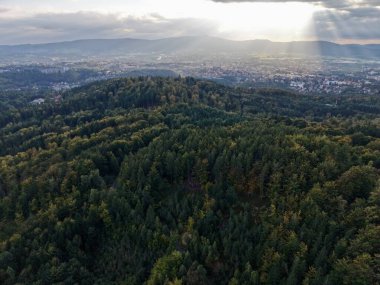 Parlak tepe manzarası, güneşli vadi Dalgalanan ağaçlı tepeler ve Horizon 'daki uzak yerleşim yeri