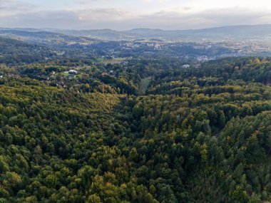 Gölgeler ve sisli yeşil geçit, Dar yeşil kanyon Gölgelerle çevrili ve sabah sisi devam ediyor