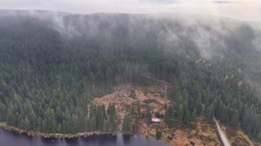 Güz ağaçlarının arasında sessiz göl kulübesi, sakin orman sisli çam ağaçları ve sakin suyla temizleniyor.