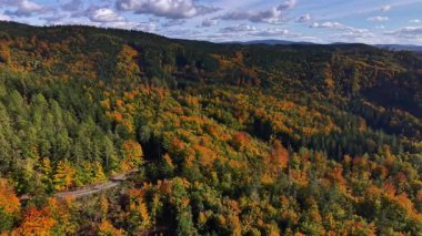 Renkli yapraklarla kaplı manzaralı dağ geçidi, hareketli yapraklarla süslenmiş yamaçtan yuvarlanan yol.