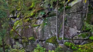 Kaya yüzeyi dikkatlice incelendi. Alan araştırmacıları taş dokularını ve bitki gelişimini analiz etti.