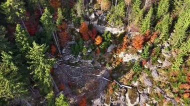 Dağ manzarası, ağaçlı ve taşlı uçurumlar, çam ve kayalarla benekli dik yamaçlar.