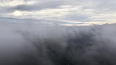 Hava Sisi Şafakta Orman Sırtı 'nda Yuvarlanıyor İHA Gri Bulut Katmanları, Huzur Sessizliği Araştırması,