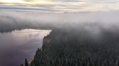 Hava Puslu Gölü Şafakta, Orman Sahil Hattı Alçak Sis ve Yumuşak Altın Işık Altında