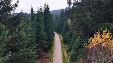 Yoğun Çamur Ormanı 'ndan geçen Hava Kirli Yolları. Sabit İHA yaklaşımı Düz Yol 'u gözler önüne serer
